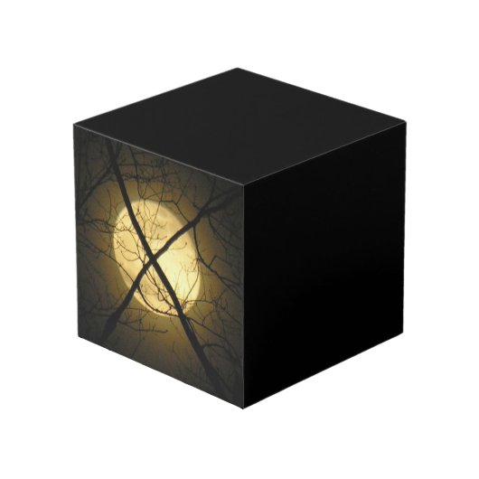 PHOTO LE CUBE - CARACTÈRE - X MARQUE L'EMPLACEMENT (Angle devant)