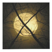 PHOTO LE CUBE - CARACTÈRE - X MARQUE L'EMPLACEMENT (Devant)