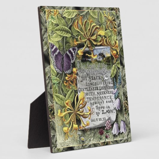 Photo Le Fruit De La Plaque Spirit (Côté)