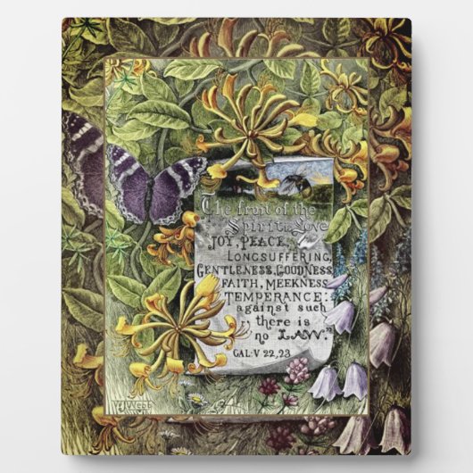 Photo Le Fruit De La Plaque Spirit (Devant)