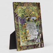 Photo Le Fruit De La Plaque Spirit (Côté)