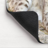 photo leopard des animaux de chat. tapis de souris (Coin)