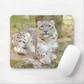 photo leopard des animaux de chat. tapis de souris (Avec souris)