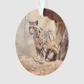 photo léopard nuageux nature (devant)