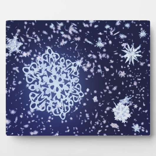 Photo Longue Plaque nocturne d'hiver (Devant)