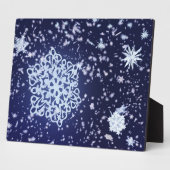 Photo Longue Plaque nocturne d'hiver (Côté)