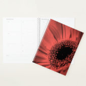 Photo, macro (Devant avec enveloppe)