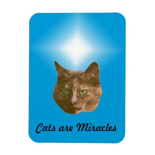 Photo Magnet - Les chats sont des miracles (Vertical)