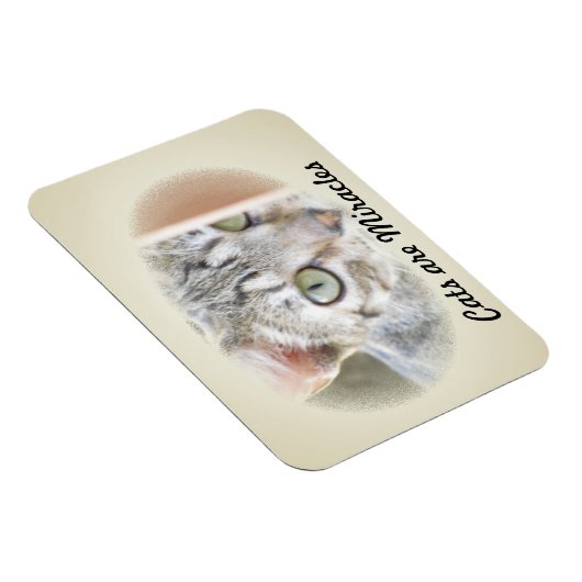 Photo Magnet - Les chats sont Miracles v.2 (Côté Droit)