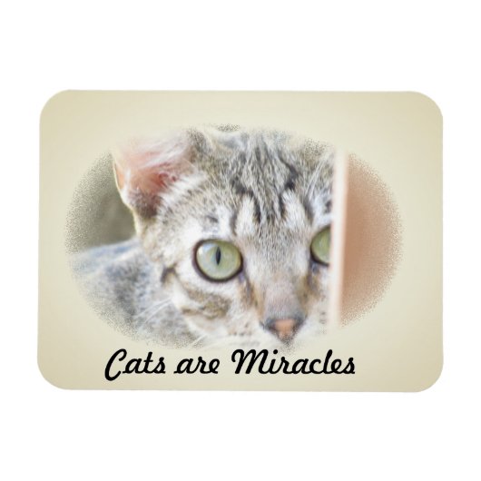 Photo Magnet - Les chats sont Miracles v.2 (Horizontal)