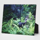 Photo Mère Turquie sur la Plaque des Ferns (Côté)