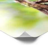 Photo mignonne d'une petite affiche d'écureuil (Coin)