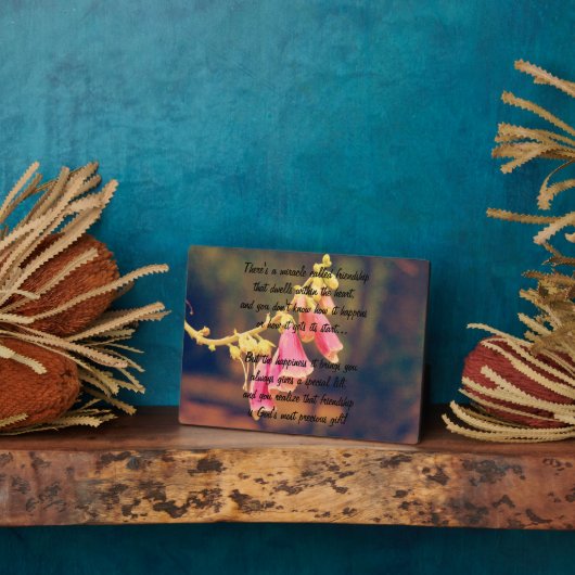 Photo Miracle de l'amitié Poem Plaque (Côté)