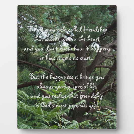 Photo Miracle of friendship Poem Plaque (Devant)