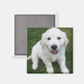 Photo Modern Simple Custom Cute Pet Magneet (Voorkant / Achterkant)