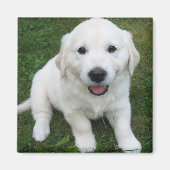 Photo Modern Simple Custom Cute Pet Magneet (Voorkant)