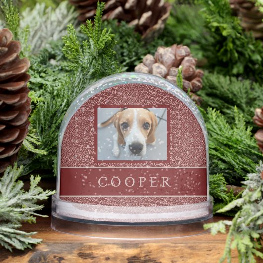 PHOTO NAME ELEGANT MAROON RED CREAM FOLIAGE (Hiver)