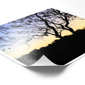 PHOTO NATURE EVERGLADES (Coin)