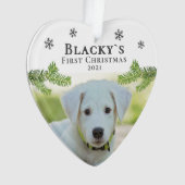 Photo Noël chiot de Noël (devant)