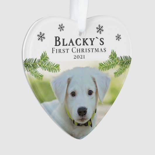 Photo Noël chiot de Noël (devant)