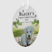 Photo Noël chiot de Noël (devant)