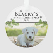 Photo Noël chiot de Noël (dos)