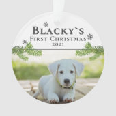 Photo Noël chiot de Noël (devant)