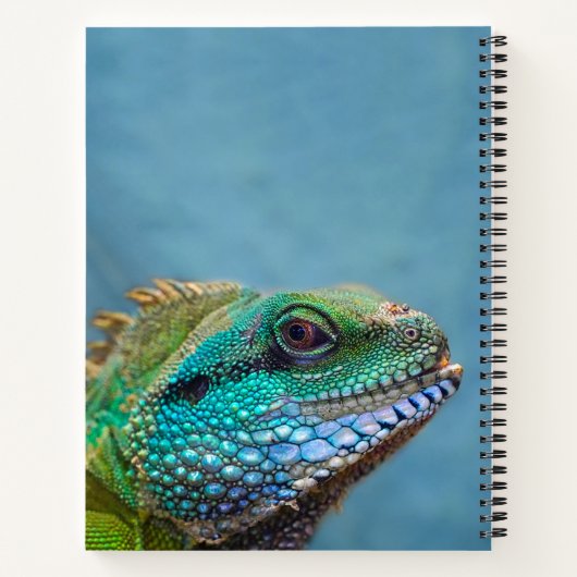 Photo Nom Nature Journal Sketbook (Dos)