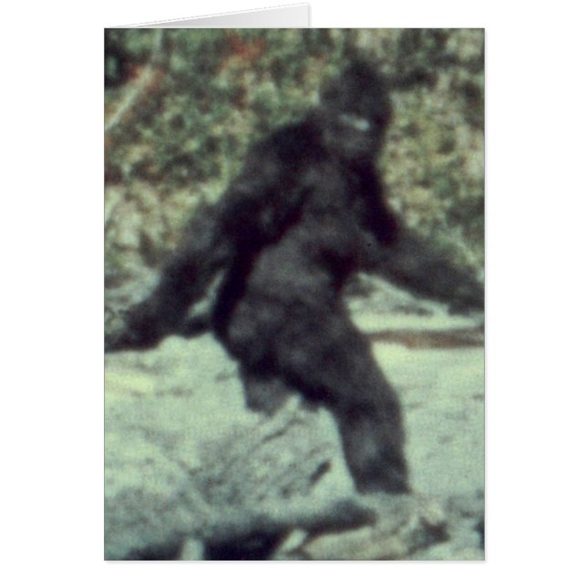 PHOTO ORIGINALE DE 1967 DE BIGFOOT SASQUATCH (Devant)