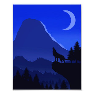 Photo Paisagem de Lobo Monocromática Azul