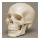 Photo Papa Cube (Droite)