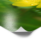 Photo Papier de l'Appalache (Coin)