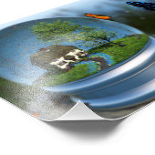 Photo Papillon Globe (Coin)
