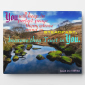 Photo Parfait Plaque De Paix. (Devant)