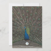 PHOTO PEACOCK BÉBÉ FILLE DOUCHE INVITATION (Dos)