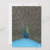 PHOTO PEACOCK BLUE BOUTON BABY SHOWER INVITATION (Dos)