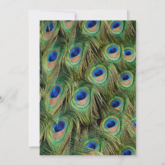 Photo Peacock Graduation Invitation (Dos)