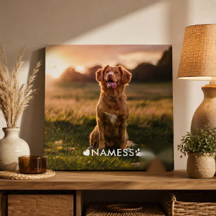 Photo personnalisée avec le nom de votre chien