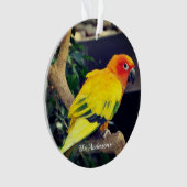 Photo personnalisée Lovebird (devant)