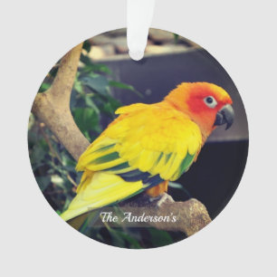 Photo personnalisée Lovebird