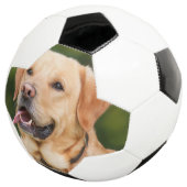 Photo personnalisée pour animal de compagnie (3/4)