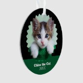 Photo personnalisée verte et noire de chat sur (devant)