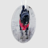 Photo personnelle Chien vacances de chiot (devant)