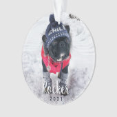 Photo personnelle Chien vacances de chiot (devant)