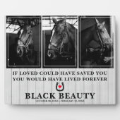 Photo Perte de cheval de compagnie | Plaque commémorativ (Devant)