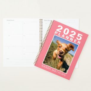 Photo Pet Chien Coral Pink Nom 2025