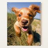 Photo Pet Dog Gold White Name Simple 2025 (Dos)