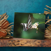 Photo Petite Plaque Zebra (Côté)