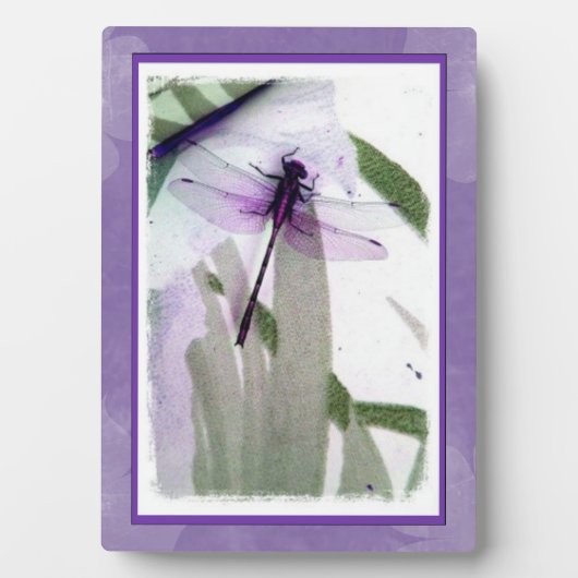 Photo Photographie de libellule Plaque d'art (Devant)