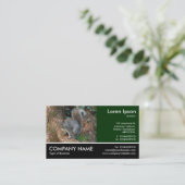 Photo Pied - Carte de visite d'écureuil gris (Debout devant)